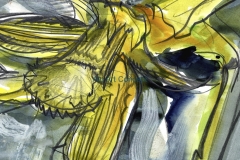 Jonquille