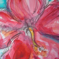 Hibiscus