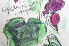 Cyclamen et pensée