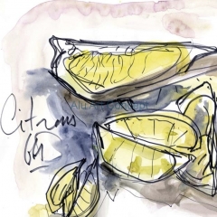 CITRONS2