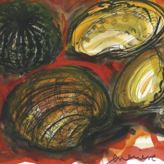 Coquillages