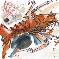 Crevette