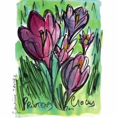 Crocus-seul
