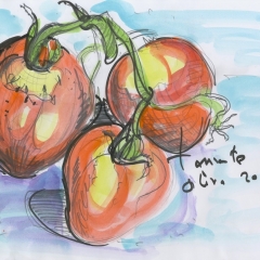 capture-tomates-jpeg