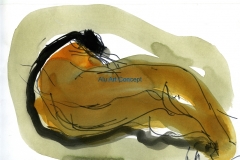 Nu orange086
