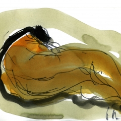 Nu-orange086