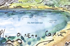 OLMETTO